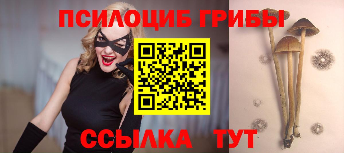 Баксан  Псилоцибиновые грибы ЛСД  Вход с VPN 