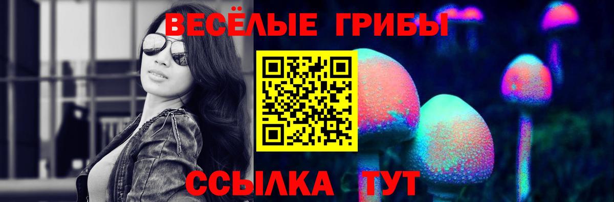 Псилоцибиновые грибы Psilocybe Баксан